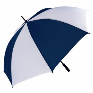 Blue and white striped umbrella for weather protection.